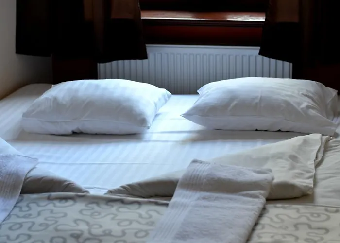 بيت شباب The One *